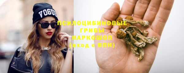 дживик Абинск