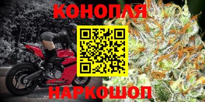 прущие грибы Краснокаменск