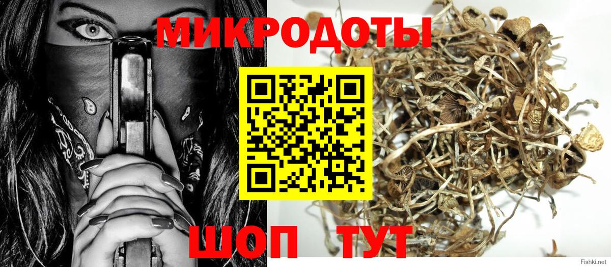 как найти   Псилоцибиновые грибы мицелий  Псилоцибиновые грибы мухоморы  Вход с VPN  Дербент 
